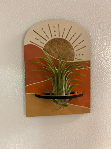 Air Plant Holder Sublimation Hardboard Blank